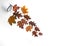 Fantasy composition of autumn leaves and mugs on the white background