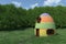 Fantasy egg house on blooming meadow