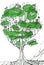 Fantasy elf town on great tree. Creative drawing of houses on branches