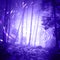 Fantasy firefly lights in dark foggy forest