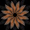 Fantasy flower shape with 3d effect. Orange star shape on black background. Vector in fractal style.