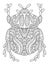 Fantasy hand-drawn beetle coloring page vector illustration