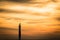 Fantasy image of lone seagull perched atop a post against a sunset sky