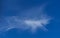 Fantasy Imagination Concept: Running Unicorn Shape White Cloud on Blue Sky Background