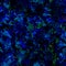 Fantasy impressionism colorful dark blue and greet background. Fractal messy art