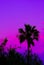 Fantasy minimalistic sunrise. Shadow palm trees and unicorn pink sky. Relax wallpaper