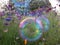 Fantasy rainbow bubbles and flowers