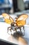 Fantasy robot butterfly in metal style. Cyborg insect concept. Robotic bug, science fiction. AI illustration. Photo