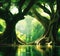 Fantasy scene of ancient trees