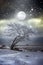 Fantasy on theme of winter. Loneliness and restlessness in moonlight