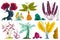 Fantasy tropical forest plants and stones set. Abstract exotic flowers, trees and plants. Isolated design elements on white backgr