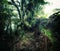 Fantasy tropical jungle forest in surreal colors