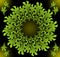 Fantasy vegetal inspired decorative green vector shape in fractal style