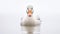 Fantasy Wildlife Photography: White Duck In Minimalist Portrait Style