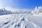 Far away in the high mountains covered with white snow stand few green trees in the magical snowflakes among fields on a winter.