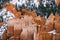 Far away zoom shot of bryce canyon national park of the hoodoos at inspiration point during the winter months in southern utah usa