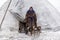 Far north, tundra, girl-helper of the reindeer herder, a girl in national dress stands near a yurt with a dog