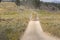 Far west horse carriage in Lamar Valley in Yellowstone National Park on summer