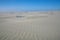 Farewell Spit is a narrow sand spit at the northern end of the Golden Bay, South Island of New Zealand