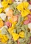 Farfalle multicolor italian luxury pasta as texture background