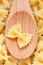 Farfalle pasta in wooden spoon background full frame.