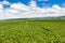 Farm Agriculture Crops Blue Clouds