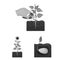 Farm and agriculture monochrome icons in set collection for design. Garden and plants isometric vector symbol stock web