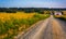 Farm along a dirt road in rural York County, Pennsylvania.