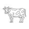 Farm animal cow line icon design. Cow illustration. Domestic animal icon vector editable stroke. Cow line icon.