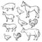 Farm animal drawing set, domestic and agriculture symbol