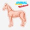 Farm animal horse in sketch style on colorful sticker. on transparent background