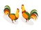 Farm animal isometric. Domestic animal in 3d flat back and front view. Cute game character of rooster. Vector icon