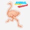 Farm animal ostrich in sketch style on colorful sticker. on transparent background