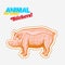 Farm animal pig or pork in sketch style on colorful sticker. on transparent background