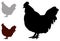 Farm animal - poultry, chicken silhouette