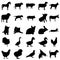 Farm animals 25 simple icon on colorful background