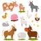 Farm animals cartoon characters family rural organic harvest farming domestic agriculture thoroughbred vector