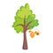 Farm animals cartoon flying bees in hive tree cartoon