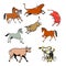 Farm Animals Cartoon Set