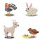 Farm animals collection