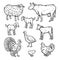 Farm animals detailed icon set, outline style