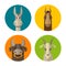 Farm animals donkey, horse, bull, goat flat design icon vector