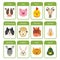Farm animals flashcards set. Educational flash card with cute farm characters