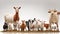 Farm animals in front of a white background