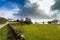 Farm animals in a grassland near a lake