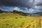 Farm animals in a grassland near a lake