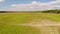 Farm animals grazing on lush green pasture aerial