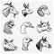 Farm animals. Head of a domestic horse pig goat cow alpaca llama rabbit sheep. Logos or emblems for signboard. Set of