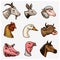 Farm animals. Head of a domestic horse pig goat cow alpaca llama rabbit sheep. Logos or emblems for signboard. Set of