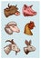 Farm animals. Head of a domestic pig goat cow rabbit sheep. Logos or emblems for signboard. Set of icons for the menu